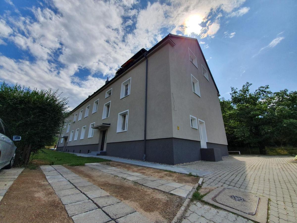 Rosa * Jelenia Gora